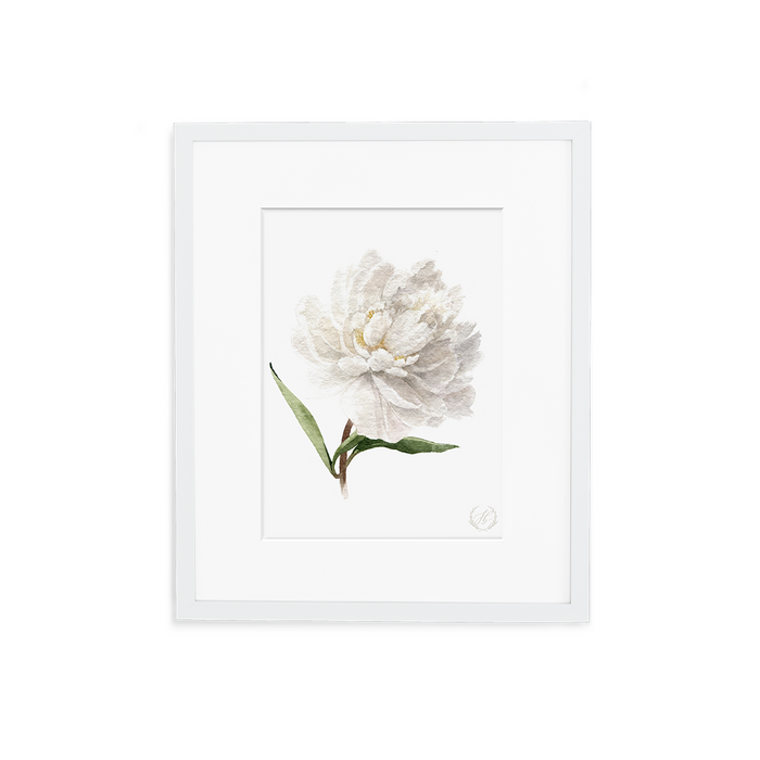 Peony no.4 Print
