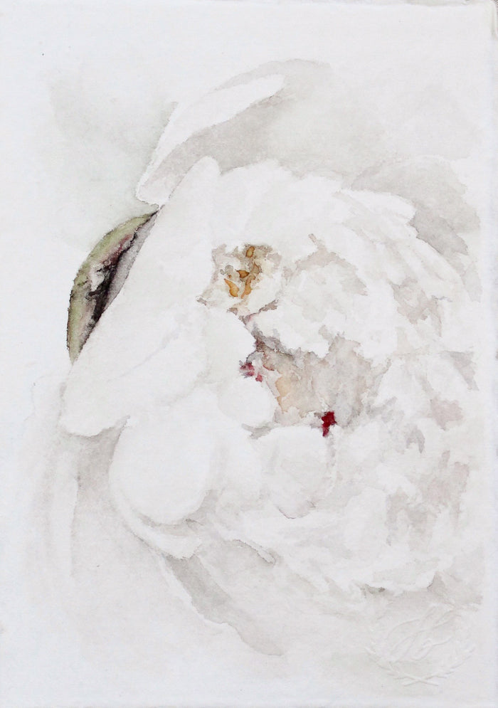 Peony no.9 | 5x7