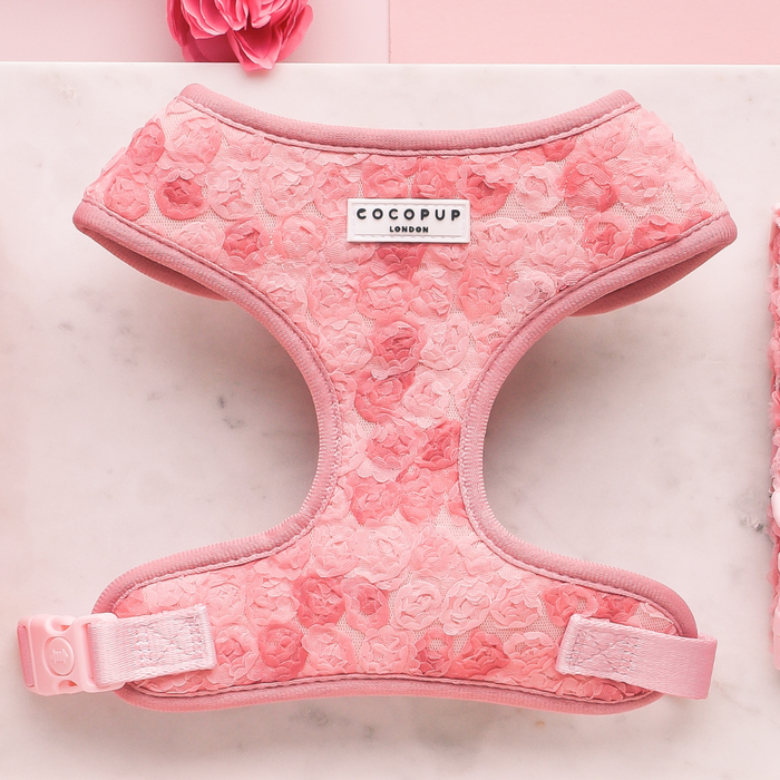 Peony Pup pink harness, lead, and collar set by Cocopup London on marble surface with a pink flower beside it.