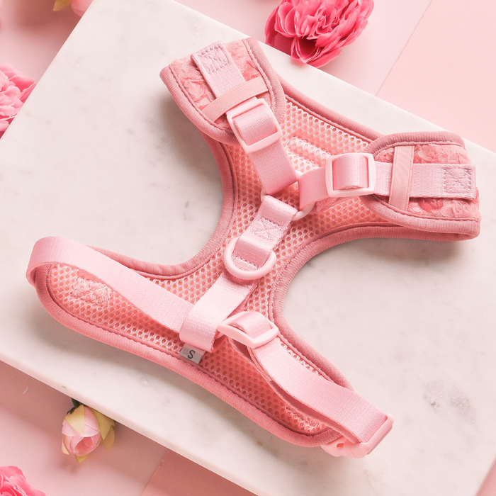 Pink Cocopup London harness, lead, and collar set arranged on white surface with pink roses.