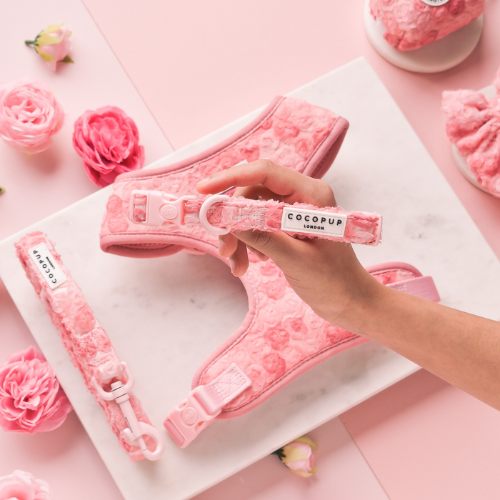 Cocopup London Peony Pup pink floral harness, lead, and collar set displayed on a marble surface with roses.