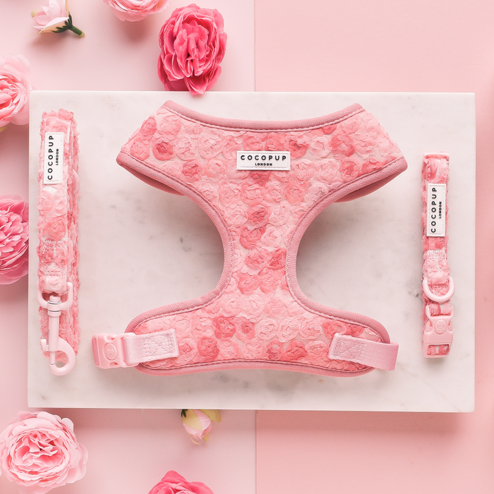 Pink floral harness, leash, and collar set from Cocopup London for small dogs.
