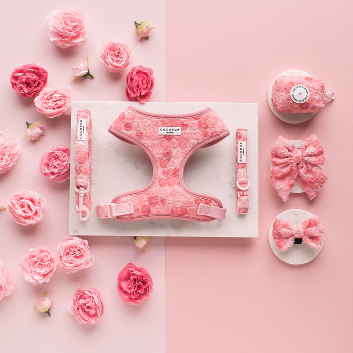 Cocopup London dog set with harness, leash, and collar in pink floral print on a two-tone background.