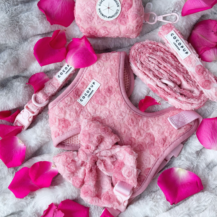 Pink Cocopup London Peony Pup Sailor Bow Tie, harness, and leash set on soft fur with scattered rose petals.