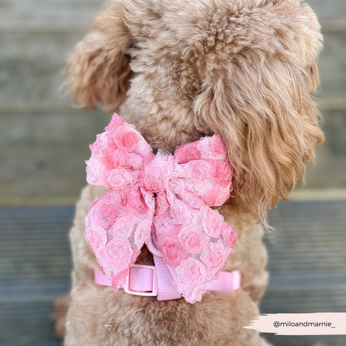 Fluffy dog on wooden steps wears a pink lace harness and Peony Pup sailor bow tie from Cocopup London.