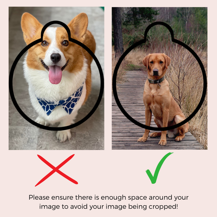 Cocopup London personalised photo ID tag with a spacious frame for your dogs face, silver metal finish.