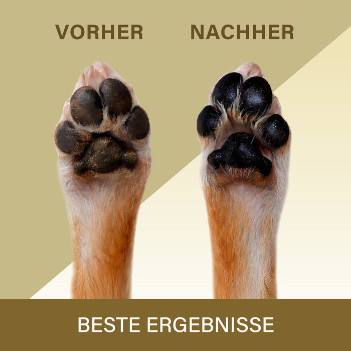 Vorher-Nachher-Vergleich zweier Hundepfoten: links raue, rissige Ballen, rechts glatte, gepflegte Ballen