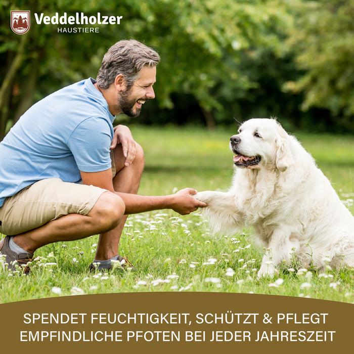 Mann kniet auf einer Wiese und hält die Pfote eines weißen Hundes – spendet Feuchtigkeit und pflegt Pfoten zu jeder Jahreszeit