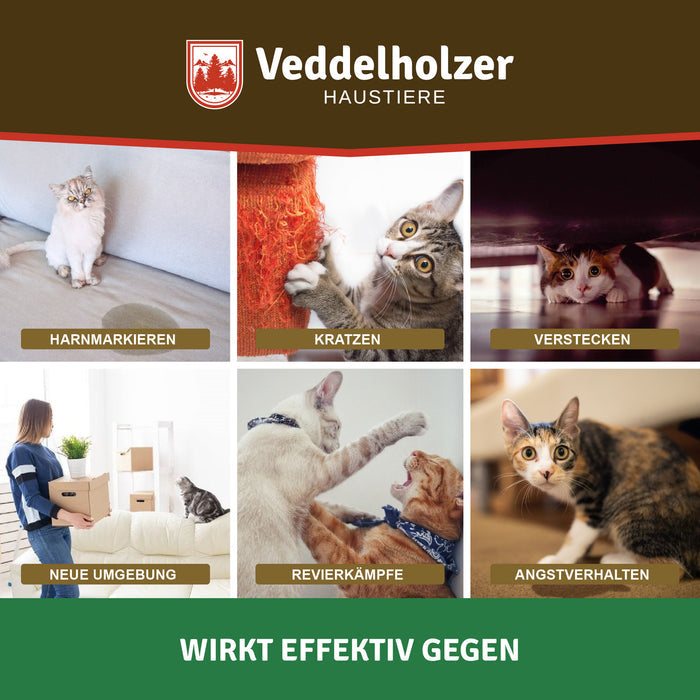Sechs Fotos zu Stressverhalten: Harnmarkieren, Kratzen am Sessel, Verstecken, Umzug, Revierkampf, ängstliche Katze