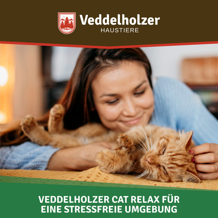 Lächelnde Frau streichelt eine entspannt daliegende rote Katze – Bildtext „für eine stressfreie Umgebung“