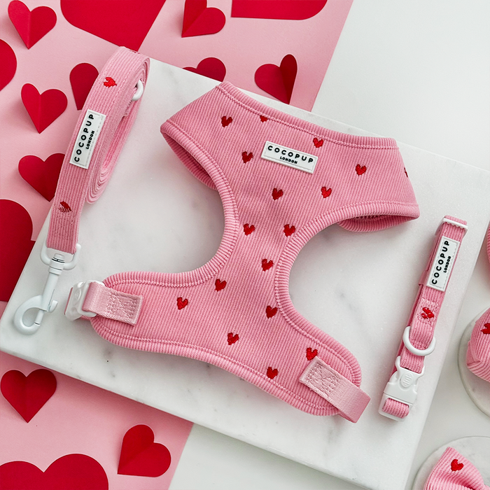 Pink cord dog harness, lead, and collar set with adjustable straps and heart print pattern.