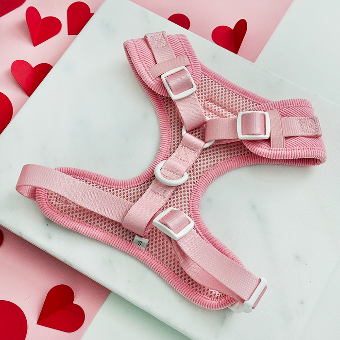 Pink cord adjustable pet neck harness with heart pattern and metal hardware.