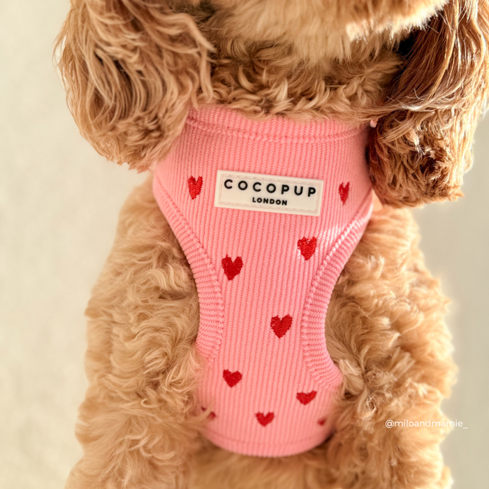 Small dog wearing a pink cord harness with red hearts, adjustable neck style by Cocopup London.