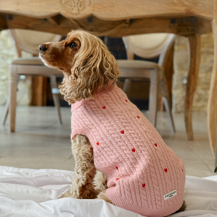 Brown dog wearing a pink cable knit jumper with heart pattern sits on a white blanket indoors.
