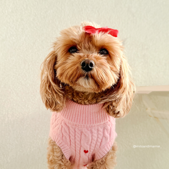 Dog wearing Cocopup London pink cord jumper, harness, and lead bundle with heart pattern, against a light background.