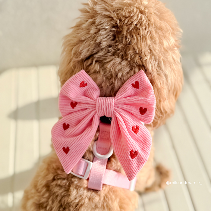 Fluffy dog in a pink harness with a pink cord sailor bow tie featuring red hearts.