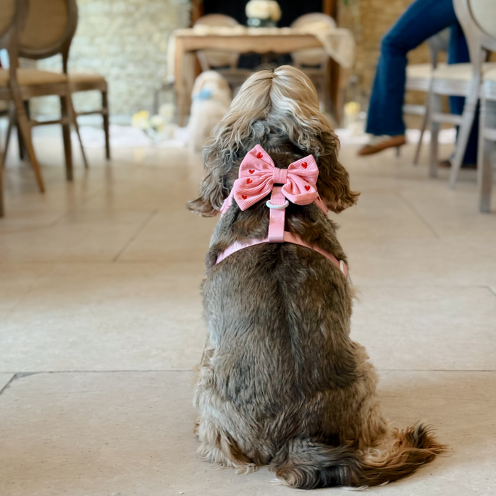 Dog sitting on tiled floor wearing a pink corduroy bow tie with heart pattern.
