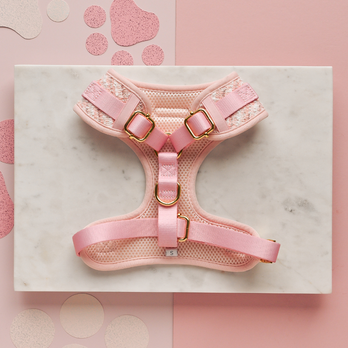 Pink textured tweed harness, lead, and collar set with gold hardware on marble with pink geometric shapes.