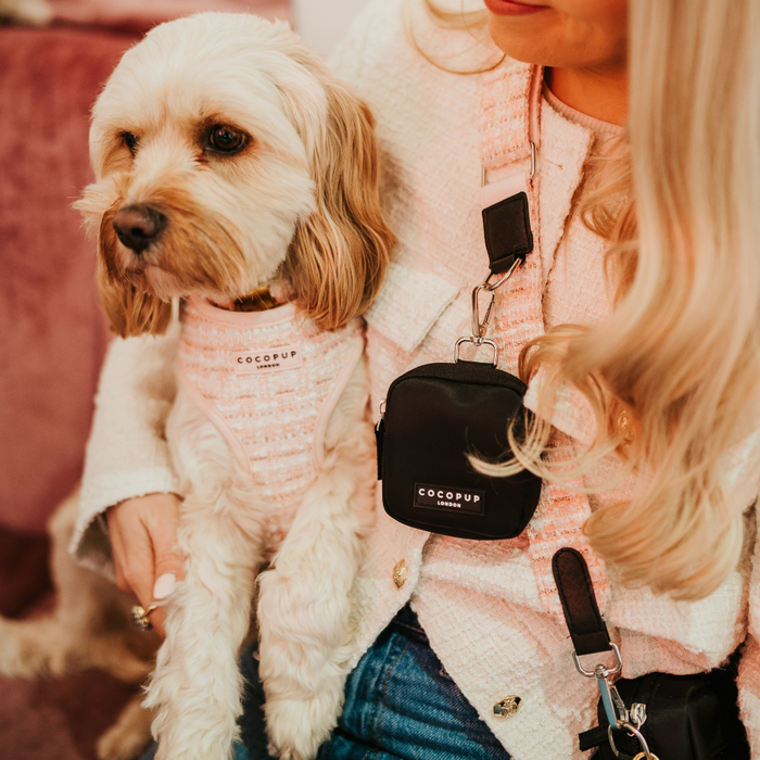 Blonde dog wearing a pink textured tweed Cocopup London harness, sitting in a lap next to a small black bag.