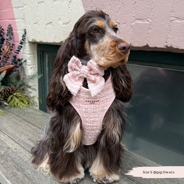 Long-haired dog wearing a pink textured tweed Cocopup London harness and bow on a wooden deck by a white brick wall.