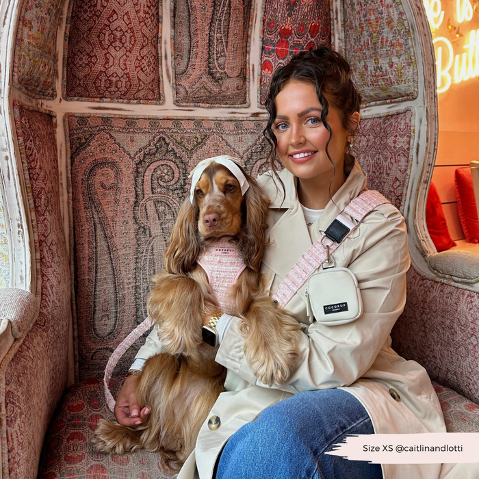 Woman holds a brown dog wearing a pink textured tweed adjustable neck harness, sitting on a patterned chair.