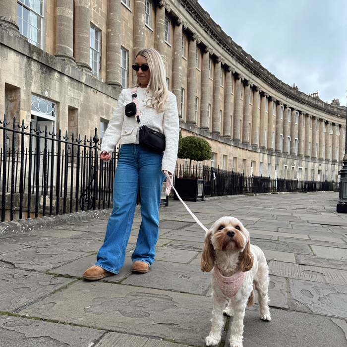 Woman in sunglasses walks a small dog with a pink textured tweed Cocopup London lead by curved stone columns.