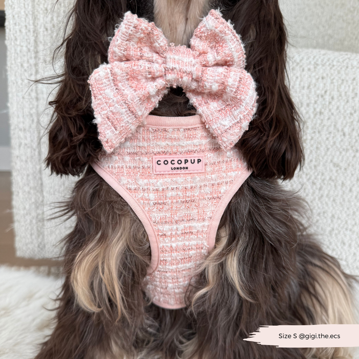 Dog wearing a pink textured tweed harness, lead, and collar set with adjustable neck.