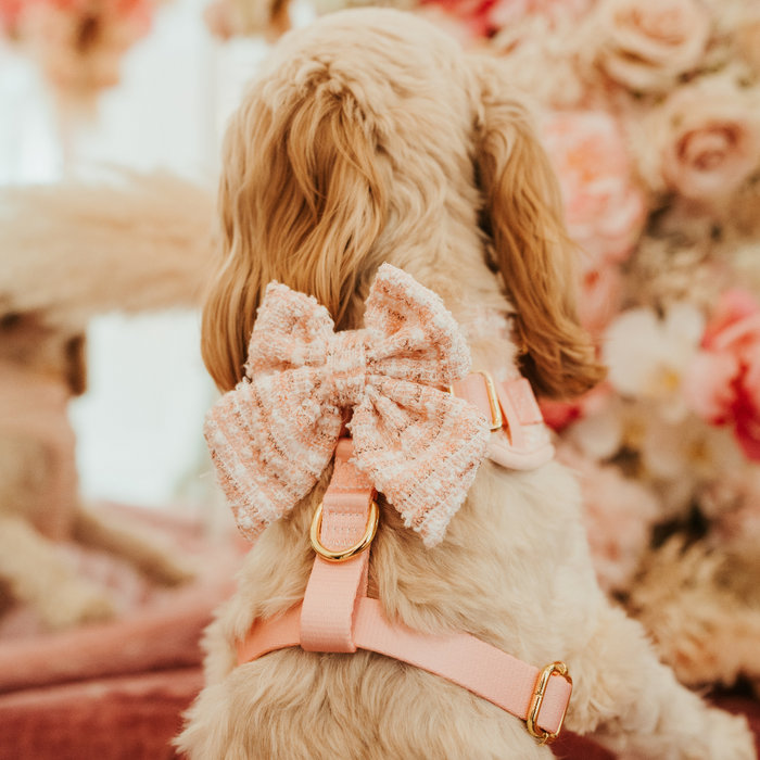 Goldendoodle in a pink textured tweed sailor bow tie by Cocopup London, sitting against a soft pink floral background.
