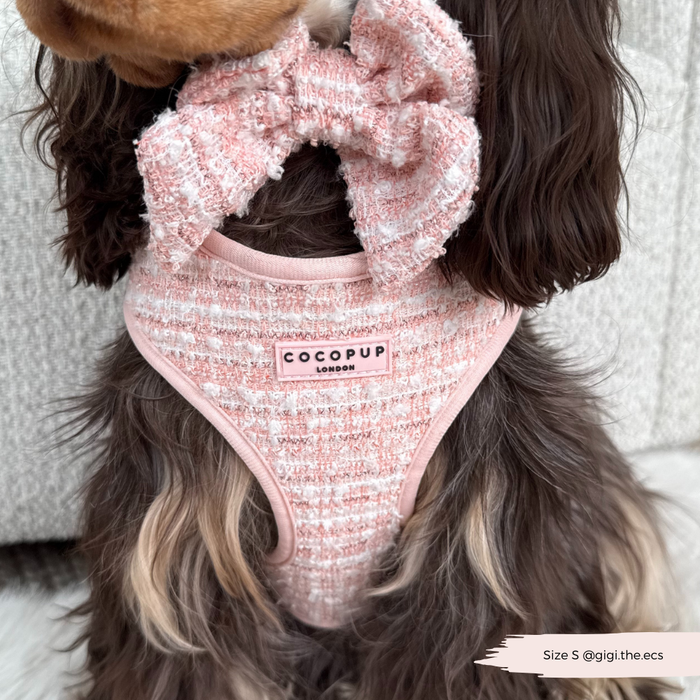 Dog with long dark fur wearing a pink textured tweed harness, lead, and collar set from Cocopup London.