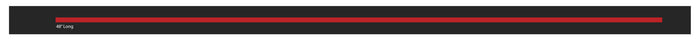 Polaris 1998 XCR Bumper Tape Decal