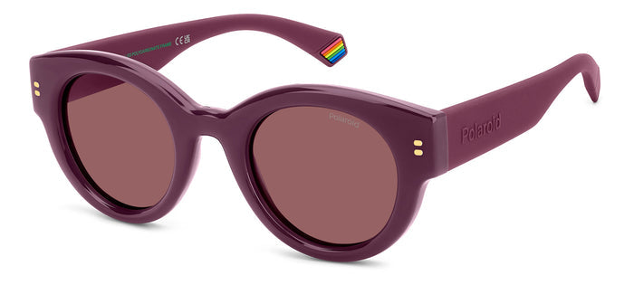 Red/Violet Polarised / 48