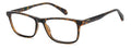 Polaroid PLD D598 #colour_havana-brown