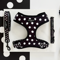 Cocopup London polka dot harness, lead, and collar set in black and white displayed on a plain white surface.