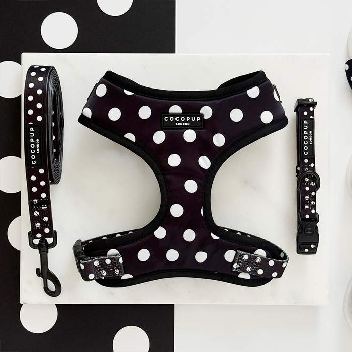 Cocopup London polka dot harness, lead, and collar set in black and white displayed on a plain white surface.