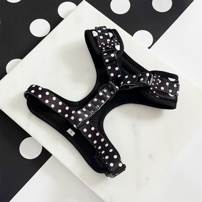 Cocopup London polka dot harness, lead, and collar set in black and white, displayed on a white marble surface.