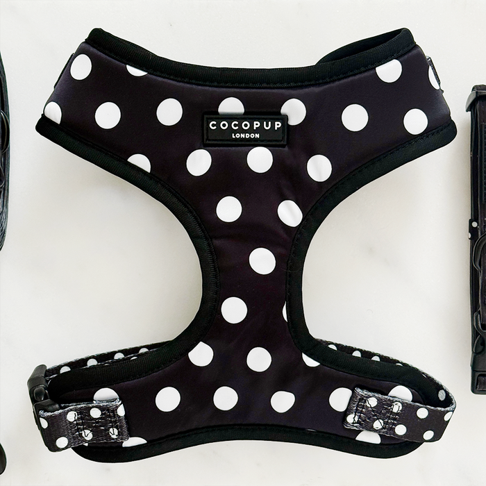 Polka dot adjustable neck harness by Cocopup London in black and white, displayed on a plain white background.