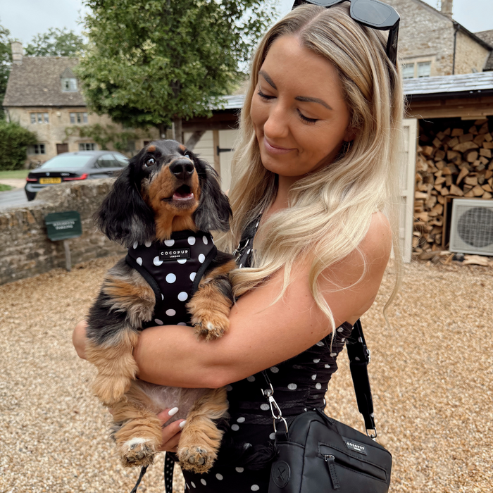 Woman smiles, holding a dachshund puppy wearing a Cocopup London polka dot adjustable neck harness on a gravel path.