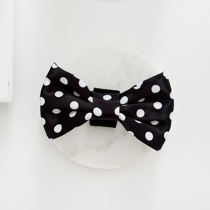 Cocopup London dog bow tie with black fabric and white polka dots.