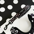 Polka dot dog lead with padded handle, shown on a matching polka dot background.