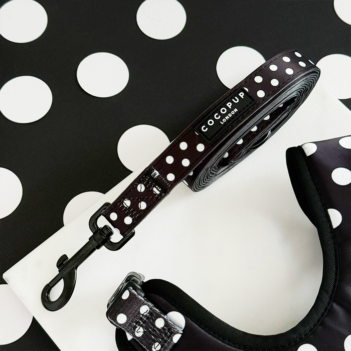 Polka dot dog lead with padded handle, shown on a matching polka dot background.