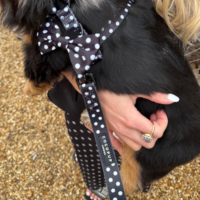 Person with painted nails holds a dog on a Cocopup London lead featuring black-and-white polka dots and padded handle.