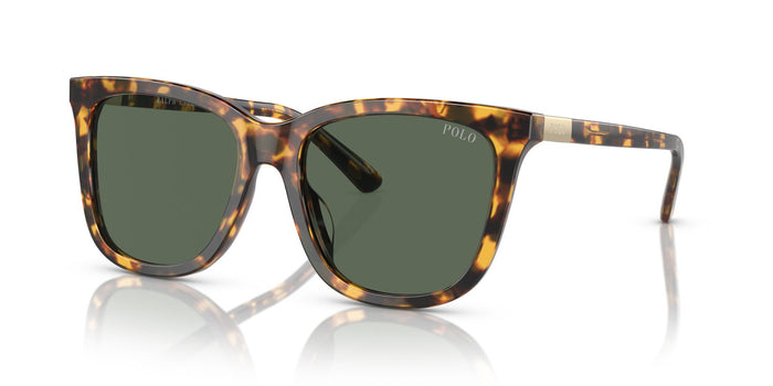 Shiny Havana/Dark Green / 55