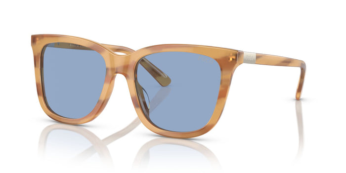 Shiny Light Honey Havana/Light Blue / 55