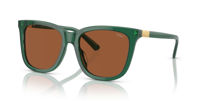 Shiny Transparent Green/Brown / 55