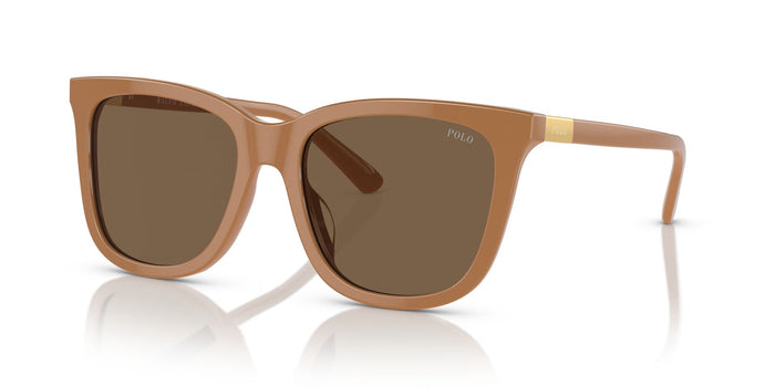 Shiny Brown/Dark Brown / 55