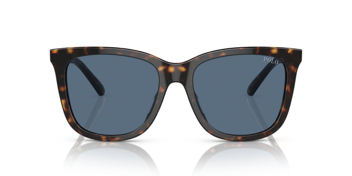 Polo Ralph Lauren PH4201U Shiny Dark Havana/Blue #colour_shiny-dark-havana-blue