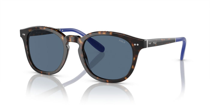 Shiny Havana/Blue / 52
