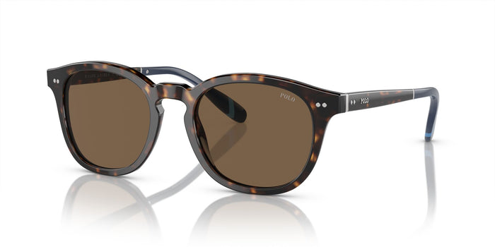 Polo Ralph Lauren PH4206 Shiny Dark Havana/Brown #colour_shiny-dark-havana-brown