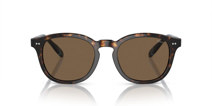 Polo Ralph Lauren PH4206 Shiny Dark Havana/Brown #colour_shiny-dark-havana-brown