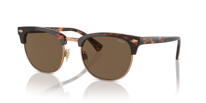 Shiny Brown Tortoise/Brown / 53